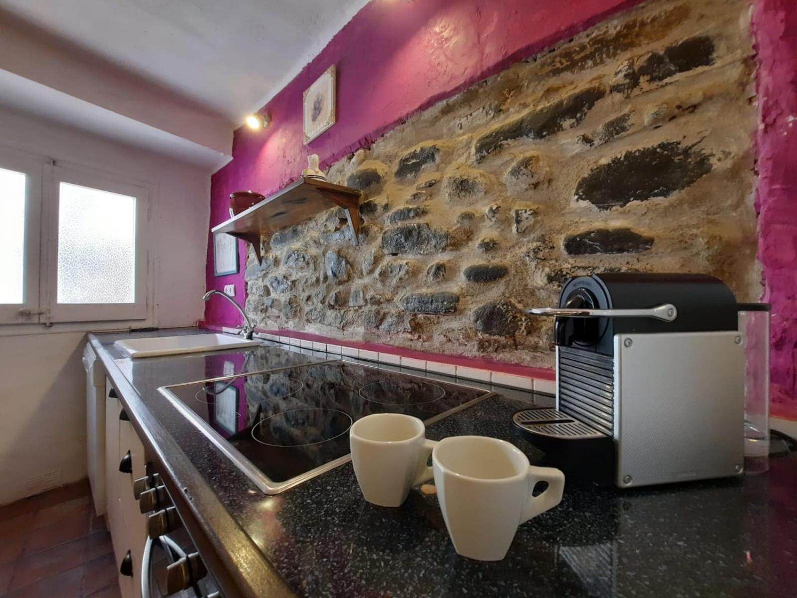 Casa Rural Cal Rocco Porta Del Pirineu Pobla de Segur Eksteriør bilde